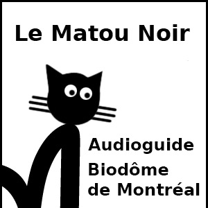 Matou AG BDM cover