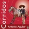 Los Amigos del Mayor - Antonio Aguilar lyrics