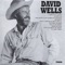 Cowboys & Ladies - David Wells lyrics