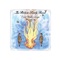 The Mardi Gras Rescue Mission - The Broken Family Band lyrics