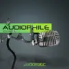 Dr. Lupo (Audiomatic Remix) song lyrics