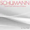Schumann: Carnaval, Études symphoniques & Kreisleriana album lyrics, reviews, download