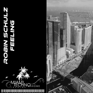 Robin Schulz Gonus