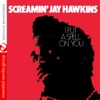 I Put a Spell on You by Screamin' Jay Hawkins iTunes Track 20