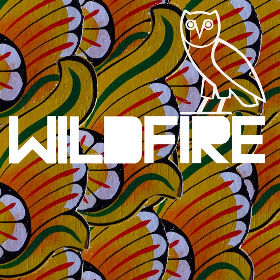 Cover artwork for Wildfire (OVO Remix) [feat. Drake]