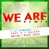We Are (Remix) [feat. Profa, Kalash, Maylan & Sadik] - Single album lyrics, reviews, download
