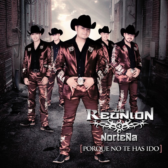 Cover artwork for Porque No Te Has Ido