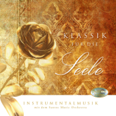 Classics for the Soul, Klassik für die Seele: Classical Music for Relaxing - Santec Music Orchestra