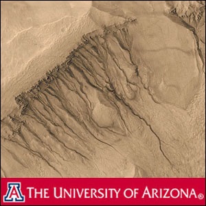 24. Chemistry and Context for Life cover