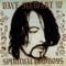 Party Town - Dave Stewart & The Spiritual Cowboys lyrics