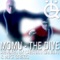 The Dive - Momu lyrics