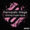 Analog Experience - Fernando Olaya lyrics