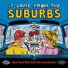 It Came from the Suburbs: Rare Teen Rock from the Kennedy Era, 2006