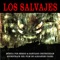 Los Pakeros - Sergio Chotsourian & Santiago Chotsourian lyrics