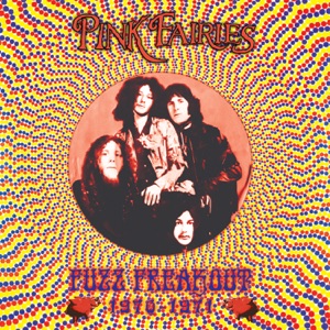 Fuzz Freakout 1970-1971