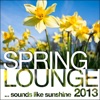 Spring Lounge 2013 (Sounds Like Sunshine)