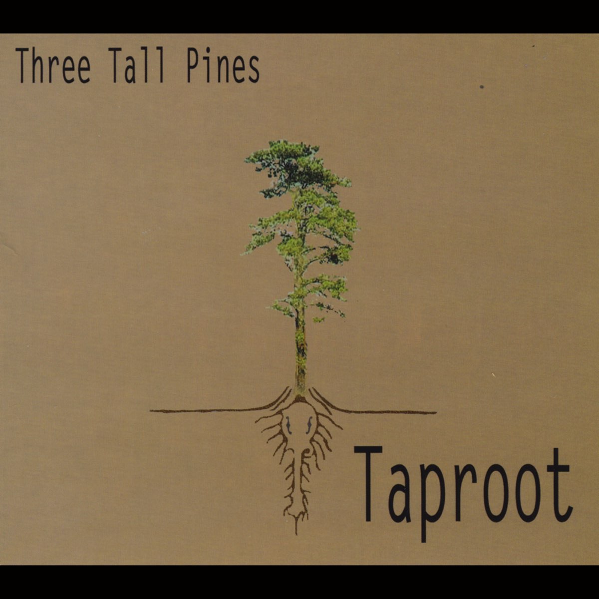 3 tall. Taproot. Taproot книга. Taproot logo. Taproot Analysis.