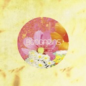 Boogarins - Lucifernandis