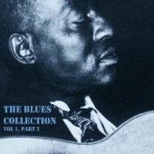 Lonnie Johnson/V Spivey - T.B. Blues 1927