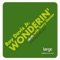 Wonderin' (House Vocal Mix) - Roy Davis Jr. & Terry Dexter lyrics