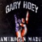 Lunatic Fringe - Gary Hoey lyrics