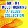 Got My Mojo Working - A Blues Collection, 2012