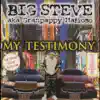 My Testimony (Clean) album lyrics, reviews, download