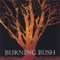 God Is Love - Burning Bush lyrics