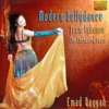 Modern Bellydance from Lebanon - The Enchanted Dance artwork