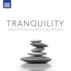 Tranquility - Soothing Classical Music artwork