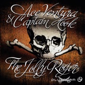 The Jolly Roger (NOK Remix) artwork