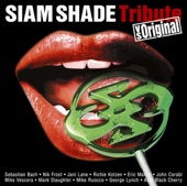 SIAM SHADE - Don't Tell Lies