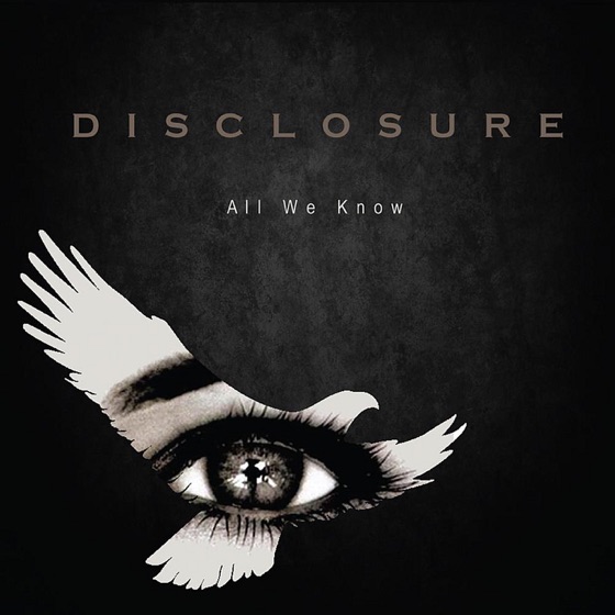 Cover artwork for All We Know