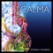 Calma - Alain Caron Remix - Esteban Figueroa lyrics