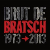 Brut de Bratsch (1973-2013) artwork
