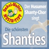 Die schönsten Shanties (feat. Anton Johannsen) artwork