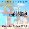 Grandes Éxitos Vol. 2 (Remastered), 2013