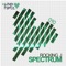 Spectrum (Original Mix) - Rocking J lyrics