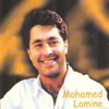 Mohamed Lamine (Raï Algeria), 2012