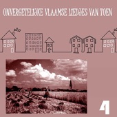 Onvergetelijke Vlaamse Liedjes van Toen, Vol. 4 artwork
