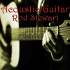 Acoustic Guitar Rod Stewart, 2008