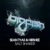 Stream & download Salt Shaker (Original Mix)