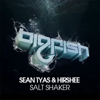 Salt Shaker (Original Mix) by Hirshee & Sean Tyas song reviws