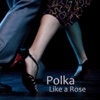 Polka - Like a Rose Polka - Polka Music, 2012