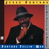 Jesse Fortune - Too Many Cooks