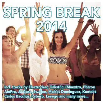 Spring Break 2014 (Deluxe Version) by Various Artists album reviews, ratings, credits