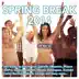 Spring Break 2014 (Deluxe Version) album cover