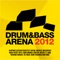 Drum&BassArena 2012 (Mix 1) artwork