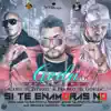Si Te Enamoras No (feat. Franco el Gorila & Alexis el Pitbull) song lyrics