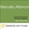 Oboe Concerto In D Minor - Adagio artwork